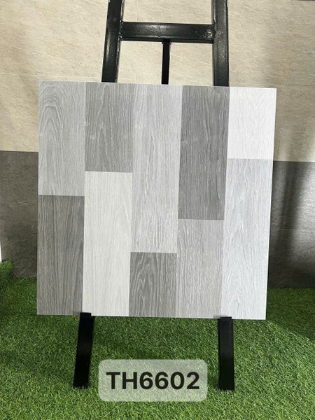 th6602