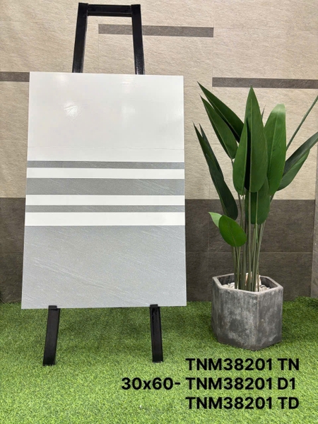tn38201d1