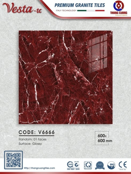 v6666