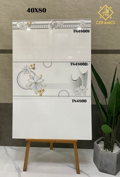 tn4800