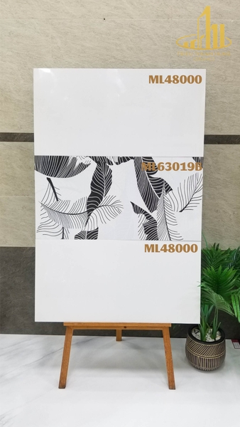 ml48000-ml63019b