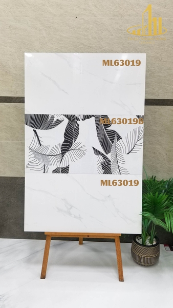 ml63019-ml63019b