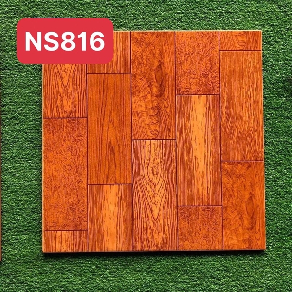 ns816