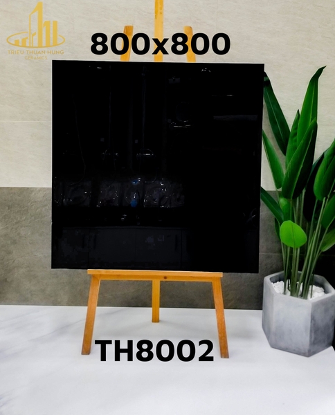 th8002