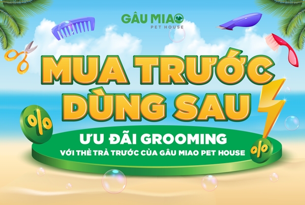 𝐌𝐔𝐀 𝐓𝐑𝐔̛𝐎̛́𝐂 𝐃𝐔̀𝐍𝐆 𝐒𝐀𝐔 -  𝐔̛𝐔 Đ𝐀̃𝐈 𝐆𝐑𝐎𝐎𝐌𝐈𝐍𝐆