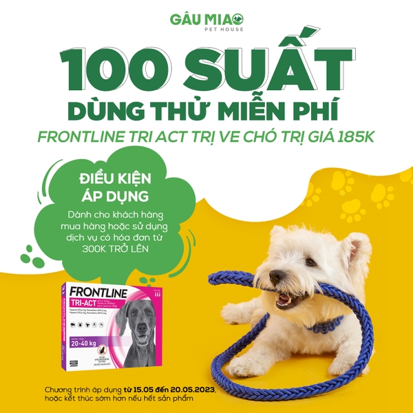 🆘 [ 𝗦𝗢𝗦 ] 𝟭𝟬𝟬 𝗦𝗨𝗔̂́𝗧 𝗗𝗨̀𝗡𝗚 𝗧𝗛𝗨̛̉ 𝗠𝗜𝗘̂̃𝗡 𝗣𝗛𝗜́  🆘