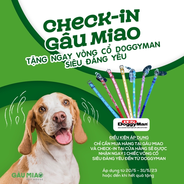 🐕 𝗖𝗛𝗘𝗖𝗞𝗜𝗡 𝗚𝗔𝗨 𝗠𝗜𝗔𝗢 🐕 𝑇𝑎̣̆𝑛𝑔 𝑛𝑔𝑎𝑦 𝑣𝑜̀𝑛𝑔 𝑐𝑜̂̉ 𝐷𝑜𝑔𝑔𝑦𝑀𝑎𝑛 𝑠𝑖𝑒̂𝑢 đ𝑎́𝑛𝑔 𝑦𝑒̂𝑢