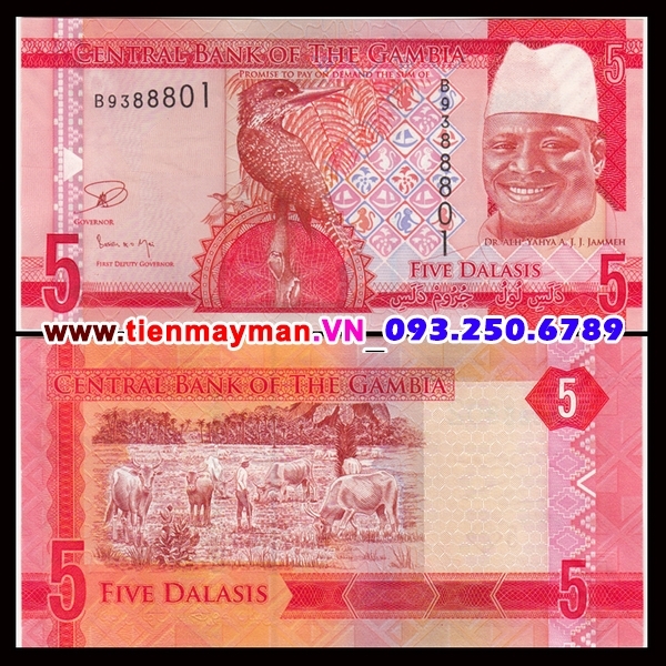 Tiền giấy Gambia 5 Dalasis 2015 UNC
