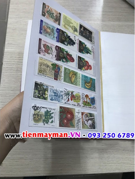 album tem giúp bảo quản bộ sưu tập