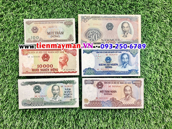 Bộ Tiền Cotton Việt Nam 6 Tờ 50 100 10000 20000 50000 100000 Đồng