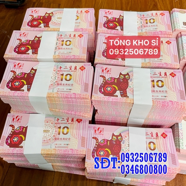 tiền con mèo macao 10