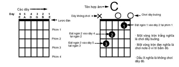 Cách bấm các hợp âm cơ bản của guitar
Vinaguitar