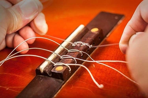 Cách bấm dây đàn guitar không đau tay cho người mới học
Vinaguitar