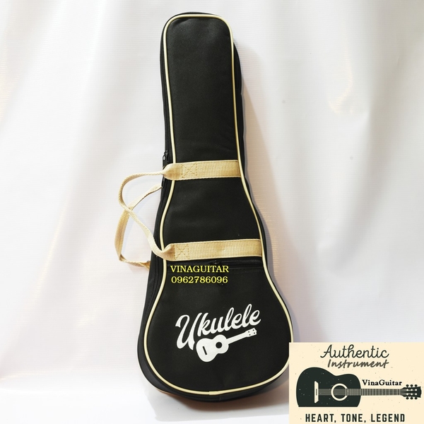 mua bao đàn guitar vừa vặn, phù hợp nhất