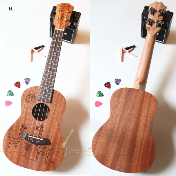 mua đàn ukulele ở hà nội