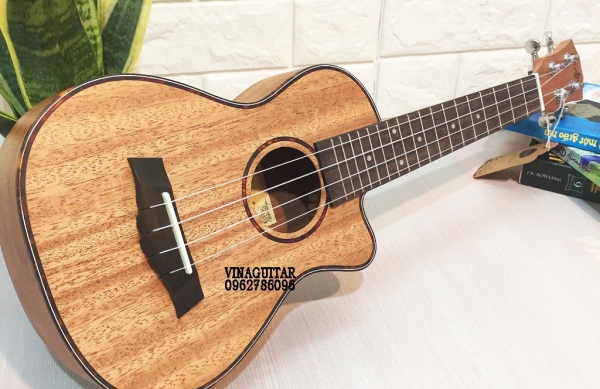 mua đàn ukulele ở hà nội
