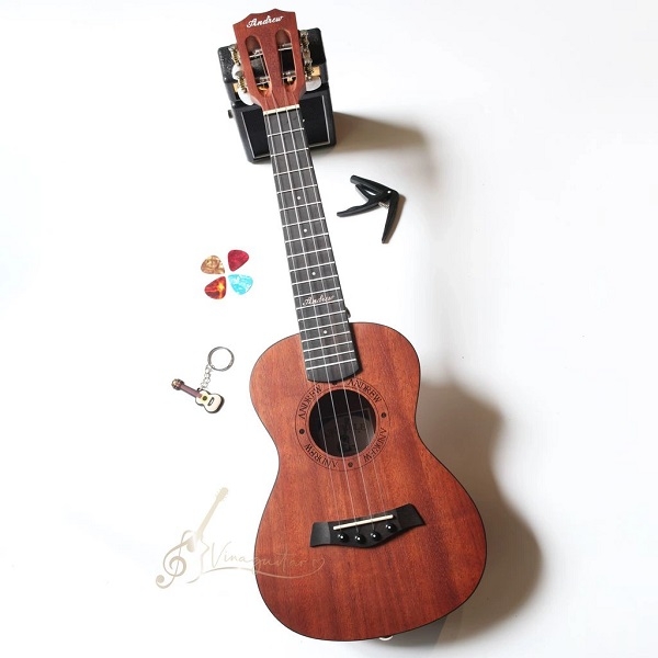 Đàn ukulele concert