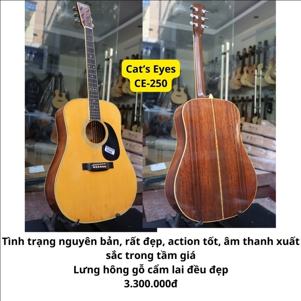 dan-guitar-acoustic-cat-s-eyes-ce250-nhat-cu-kha-dep