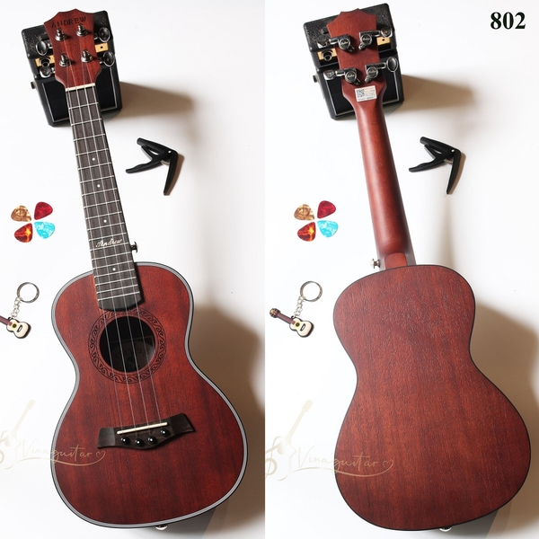 dan-ukulele-concert-andrew-a802