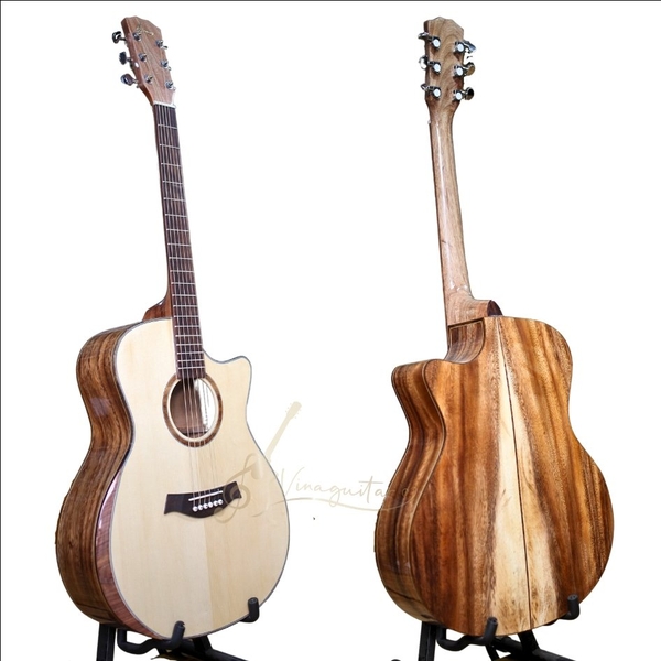 dan-guitar-acoustic-vg-dv6-bavel-go-diep-nguyen-tam-tang-12-phu-kien-va-bao-da