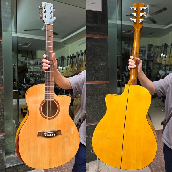 dan-guitar-acoustic-vinaguitar-vg-ashv-go-tan-bi