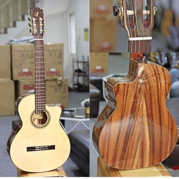 dan-guitar-classic-ba-don-c550j-tang-12-phu-kien-va-bao-hanh-2-nam