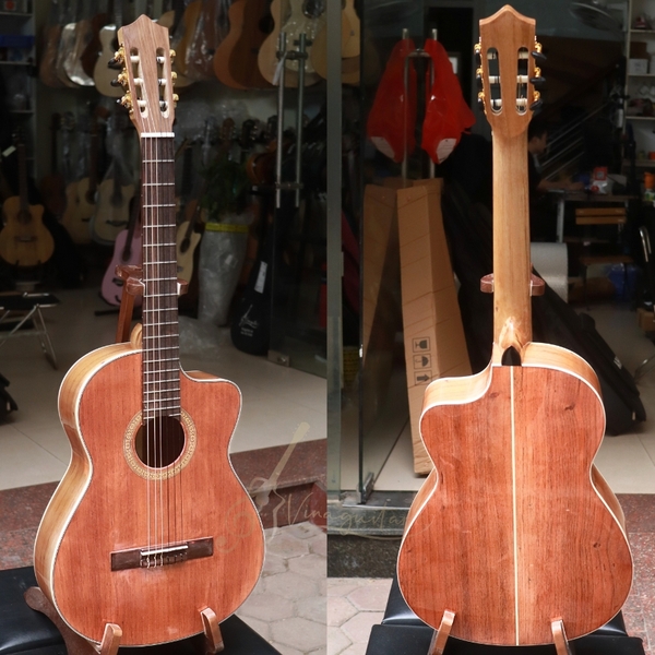 dan-guitar-classic-vg-cfhd-guitar-go-hong-dao-nguyen-tam
