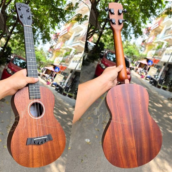 dan-ukulele-tenor-didou-b31-full-mahogany-chat-luong-cao