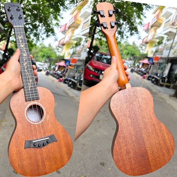 dan-ukulele-concert-diduo-t21-full-mahogany-chinh-hang