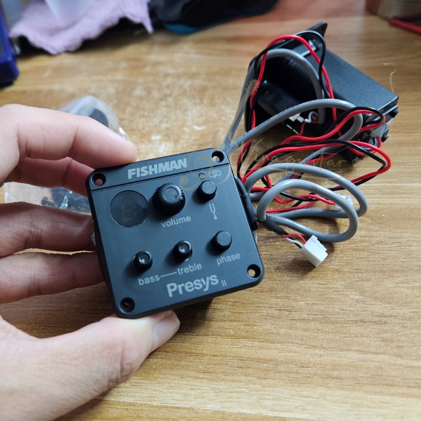 eq-fishman-201-rep-1-1-thach-anh-bac