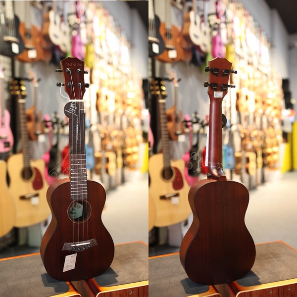 dan-ukulele-andrew-y8-concert-tenor-vinaguitar-phan-phoi-chinh-hang