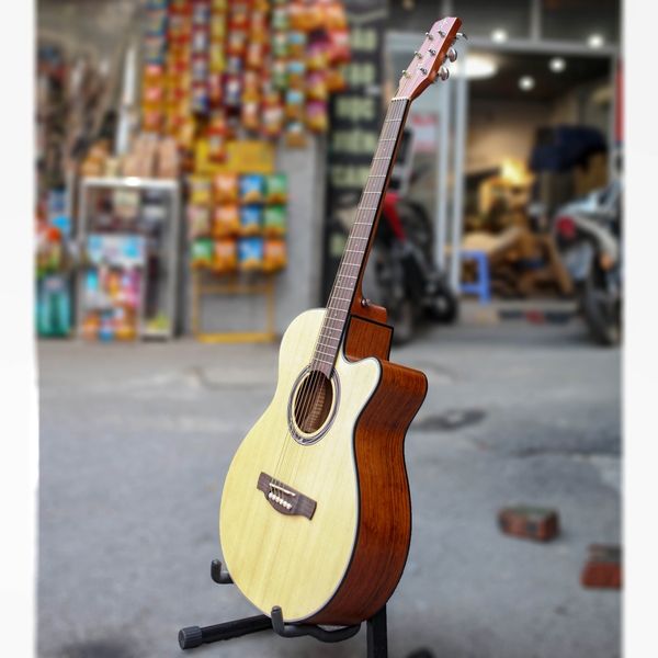 dan-guitar-acoustic-magna-m80-c-vinaguitar-phan-phoi-chinh-hang