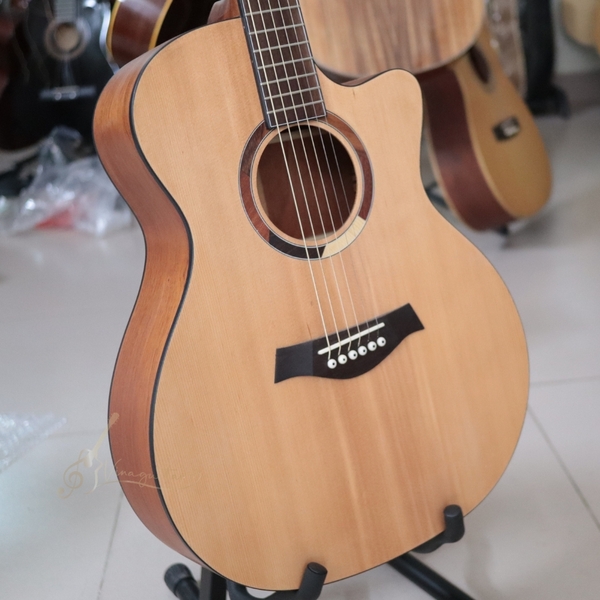 dan-guitar-acoustic-custom-vg-mg8