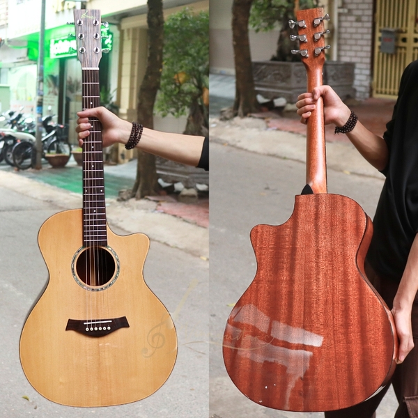 dan-guitar-acoustic-custom-vg-mg8