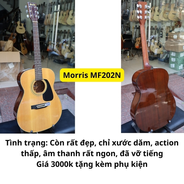 dan-guitar-acoustic-morris-mf202n-dep-tieng-hay