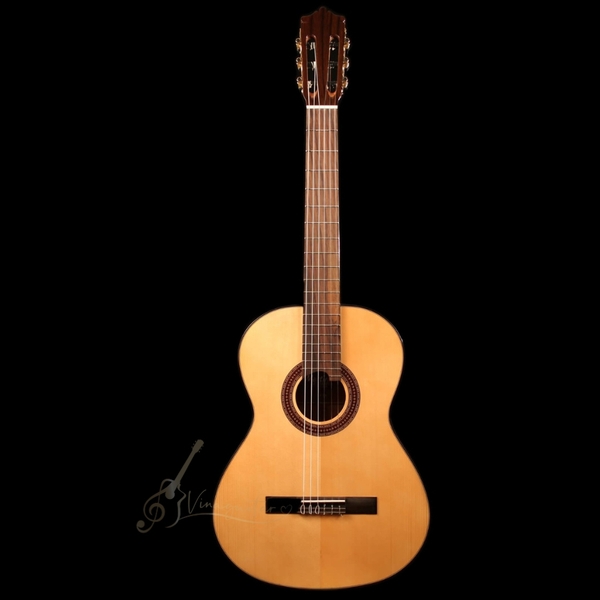dan-guitar-martinez-mc48-tang-full-phu-kien-va-bao-hanh-2-nam
