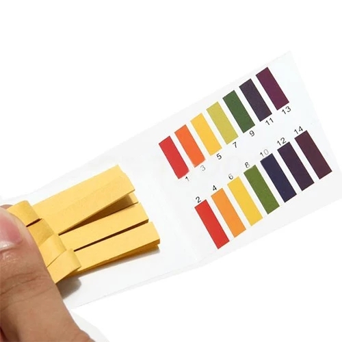 20-tep-giay-thu-ph-1-14-dang-tep