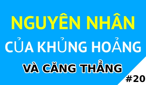 NGUYÊN NHÂN CỦA KHỦNG HOẢNG VÀ CĂNG THẲNG