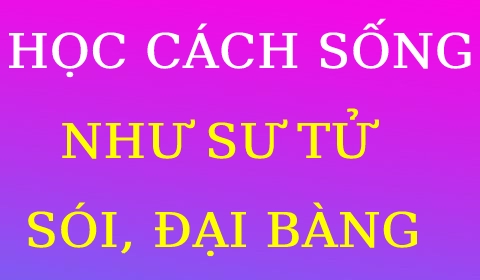 HỌC CÁCH SỐNG NHƯ SƯ TỬ, SÓI & ĐẠI BÀNG