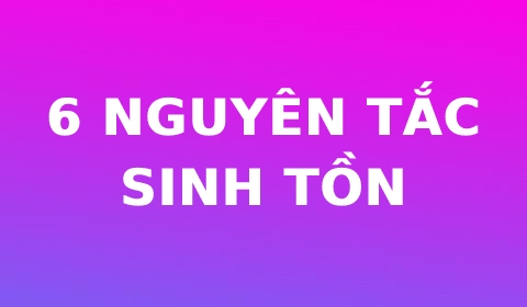 Những yếu tố nào ảnh hưởng đến việc tuân thủ quy tắc sinh tồn?
