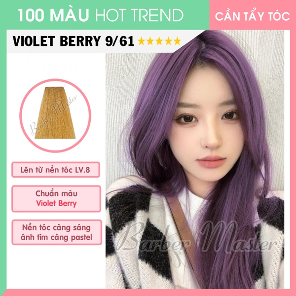 ĐỊA CHỈ BỎ SỈ MÀU NHUỘM TÍM BERRY UY TÍN, CHẤT LƯỢNG