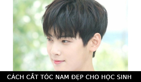 Hướng dẫn cắt tóc nam cho Học sinh Sinh viên