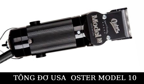 REVIEW TÔNG ĐƠ CAO CẤP CHÍNH HÃNG MỸ OSTER MODEL 10