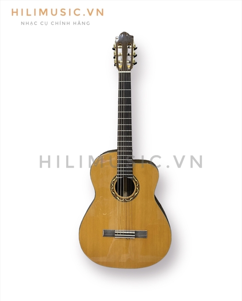 dan-guitar-classic-cg-16zebra