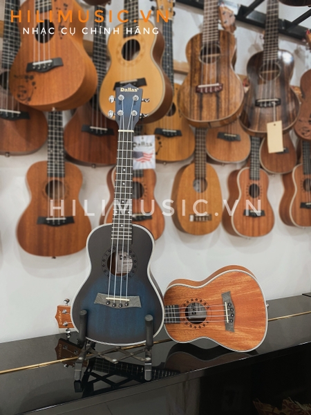 dan-ukulele-concert-dallas-dl23