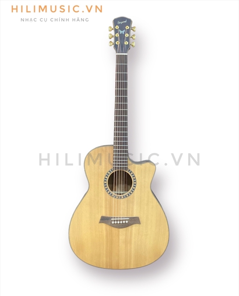 dan-guitar-acoustic-ag629-go-diep-nu-mau-li