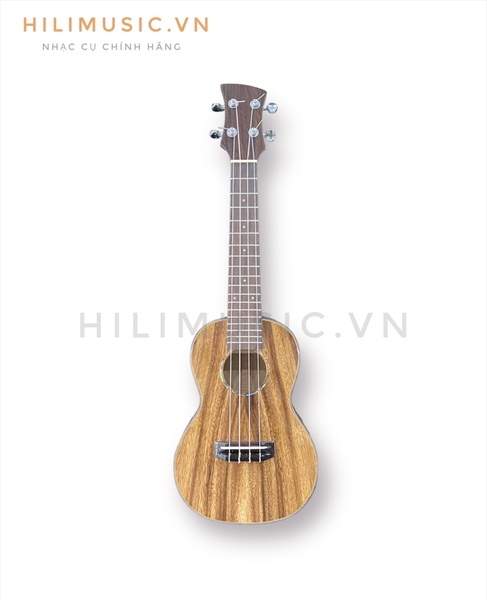 dan-ukulele-concert-go-diep-cao-cap