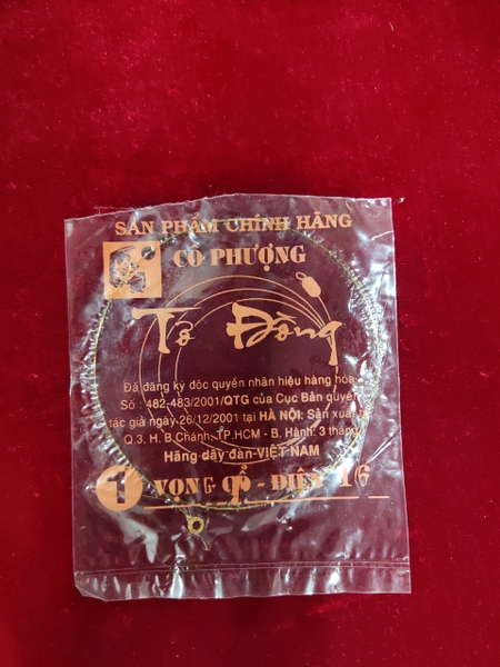 day-vong-co-dien-so-1-co-phuong-17-to-dong