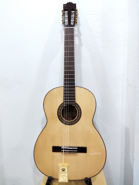 dan-guitar-classic-cg-300e