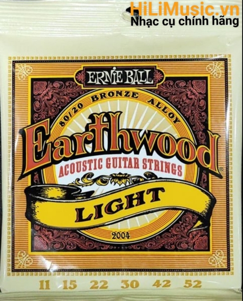 day-guitar-acoustic-ernie-ball-earthwood-light-11-52